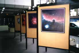 Ausstellungen